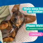 WeVets agora na Zona Leste: Plano de Saúde aceito na rede Animaniac’s