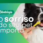 Limpeza de T&aacute;rtaro em C&atilde;es e Gatos: Preven&ccedil;&atilde;o e Sa&uacute;de