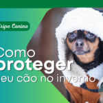 Gripe Canina e Tosse dos Canis: Como Proteger Seu C&atilde;o no Inverno