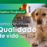 Displasia Coxofemoral em C&atilde;es: Como Devolver a Qualidade de Vida ao Seu Pet