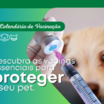 Muito Al&eacute;m da Raiva: O Calend&aacute;rio de Vacina&ccedil;&atilde;o Completo para C&atilde;es e Gatos
