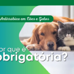 Vacina Antirr&aacute;bica: A &Uacute;nica Vacina Obrigat&oacute;ria por Lei (e por Amor)