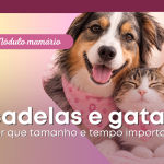 N&oacute;dulo mam&aacute;rio em cadelas e gatas: por que tamanho e tempo importam